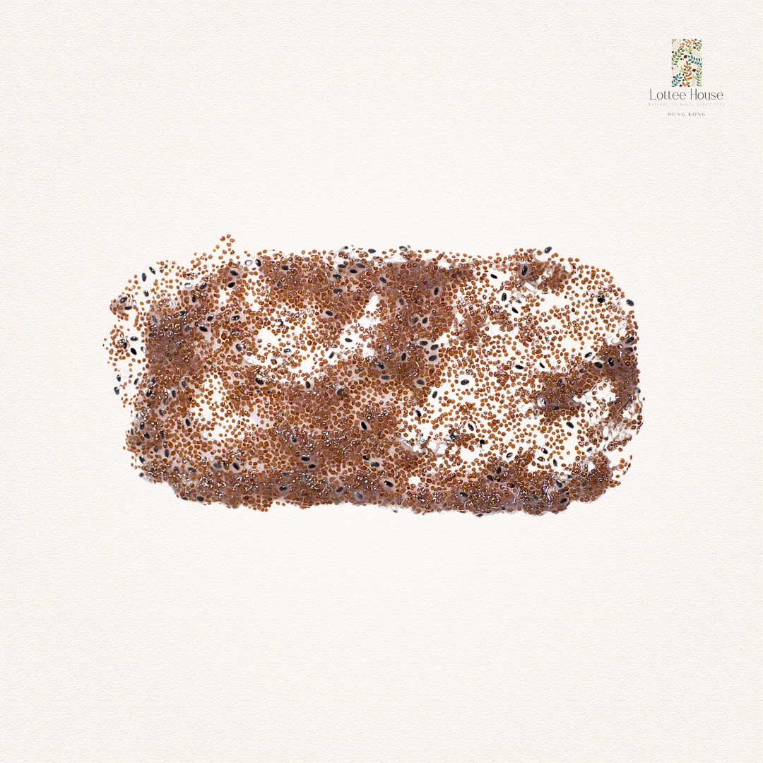 黑玫瑰海藻籽保濕面膜