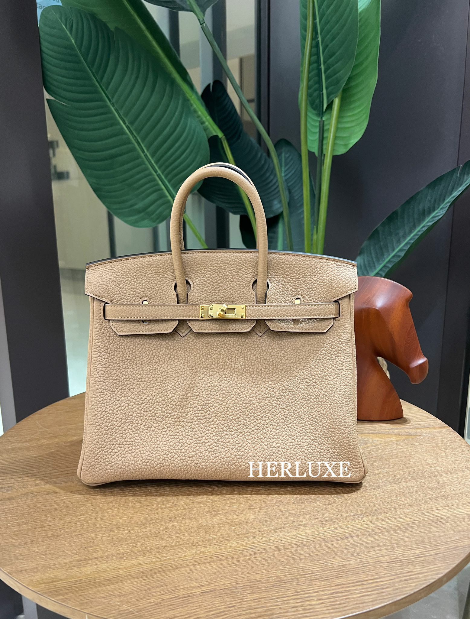 Birkin 25 0M chai cc togo B