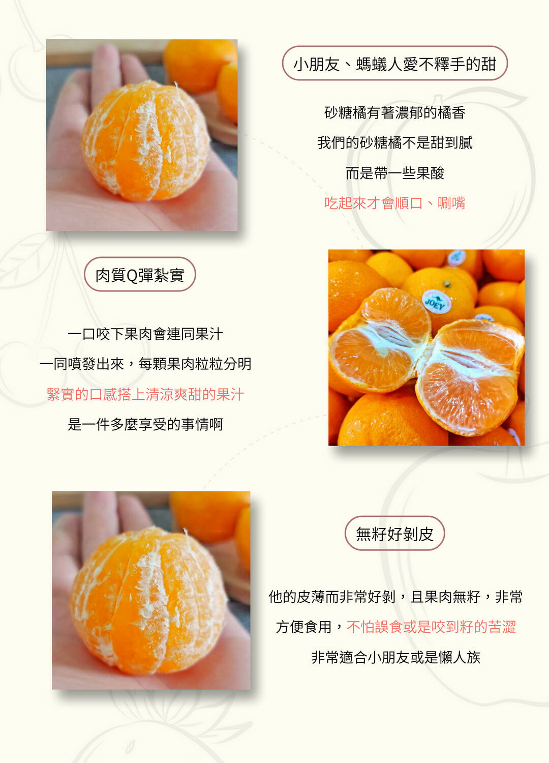 美國｜無籽多汁砂糖橘｜爆炸甜