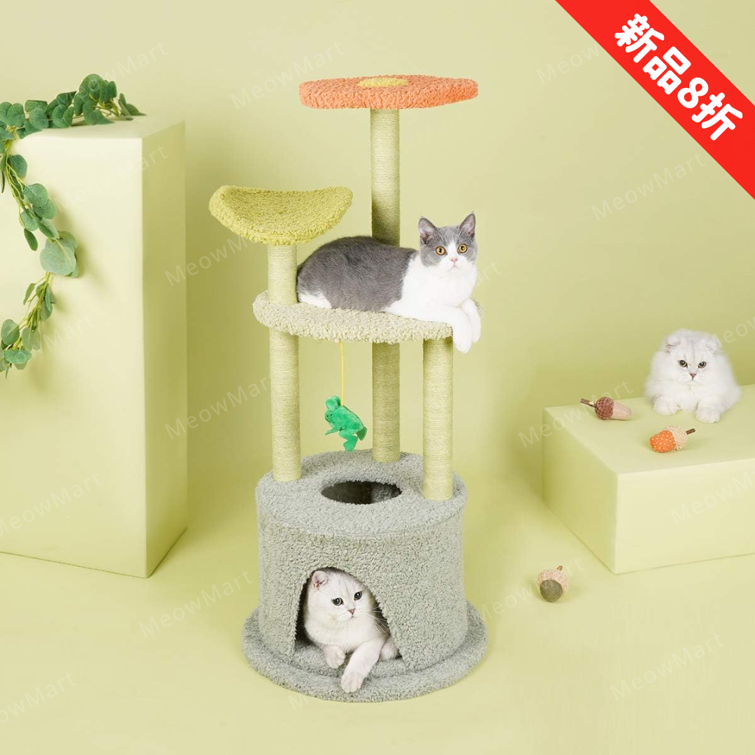 【新品8折】春日花屋貓爬架