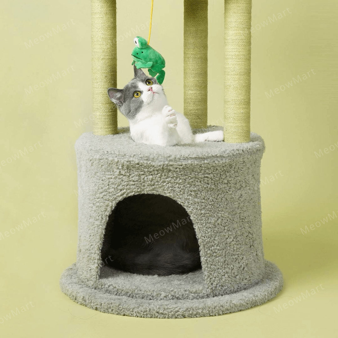 zeze 春日花屋貓爬架