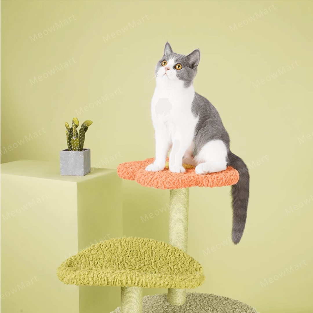 zeze 春日花屋貓爬架