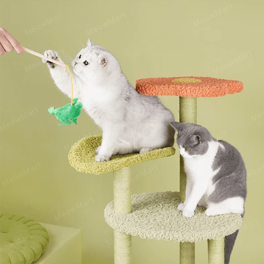 zeze 春日花屋貓爬架