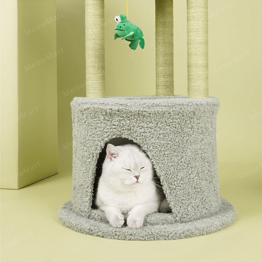 zeze 春日花屋貓爬架