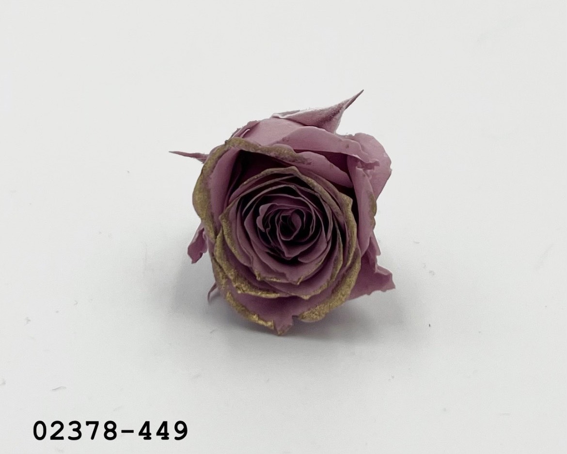 日本不凋迷你玫瑰(鑲金) 02378-449