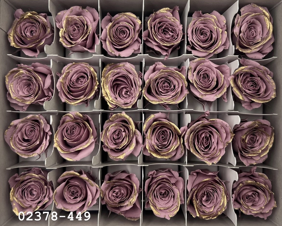 日本不凋迷你玫瑰(鑲金) 02378-449