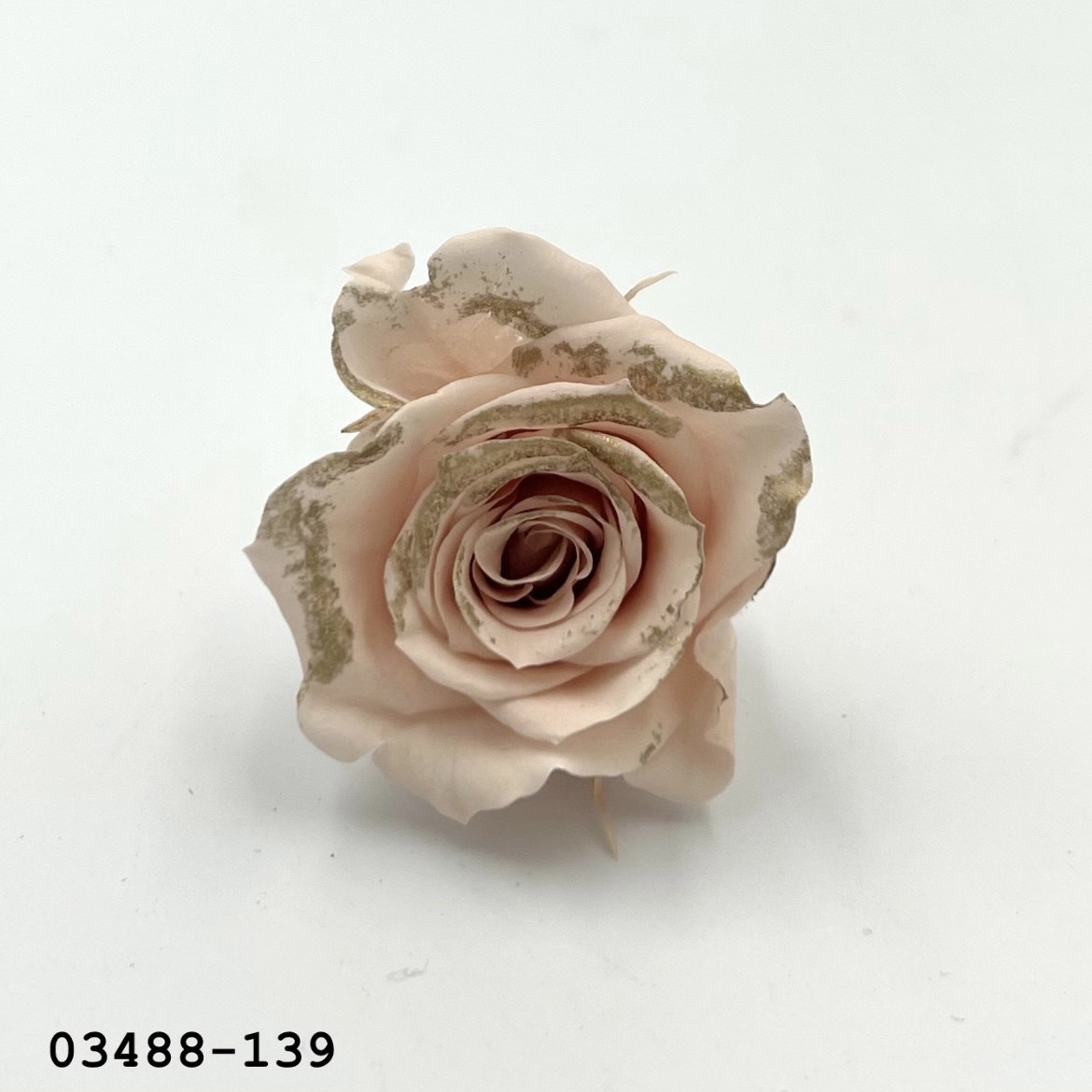 日本不凋中輪玫瑰(鑲金/9朵) 03488-139