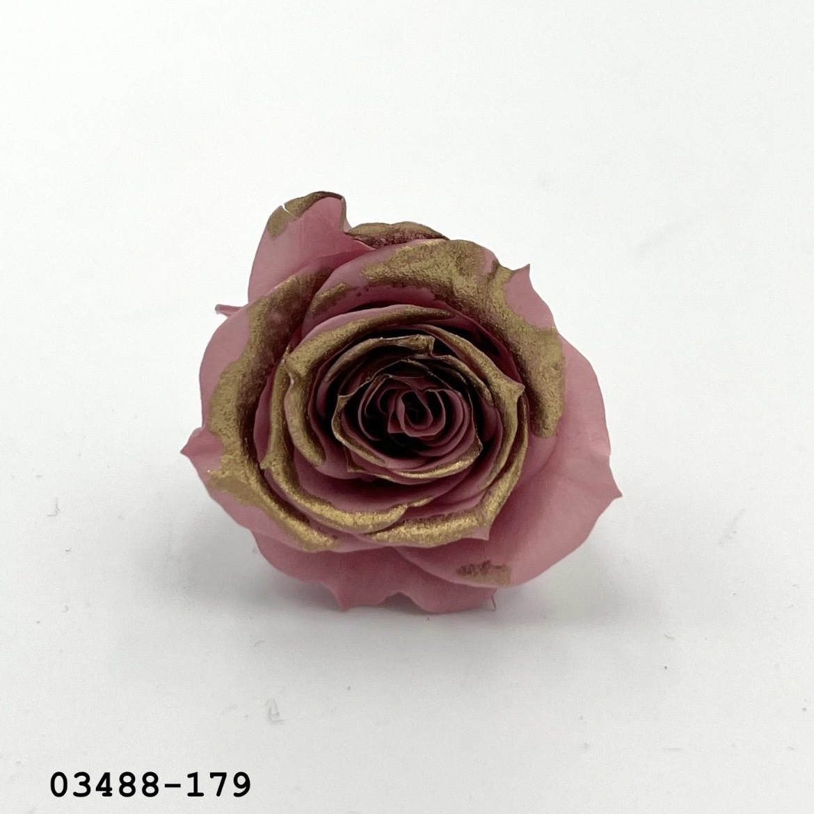 日本不凋中輪玫瑰(鑲金/9朵) 03488-179