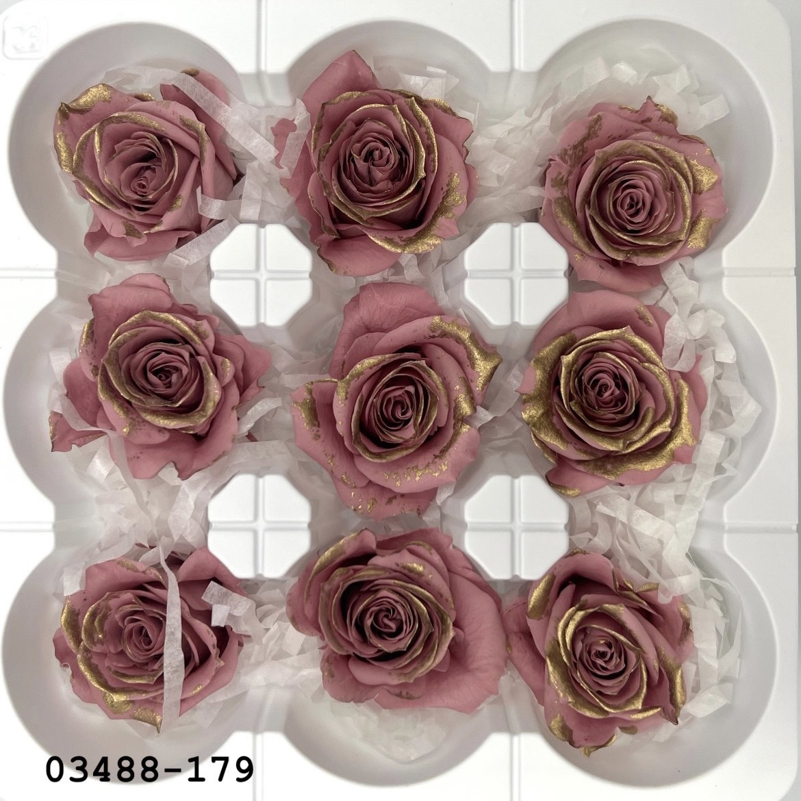 日本不凋中輪玫瑰(鑲金/9朵) 03488-179