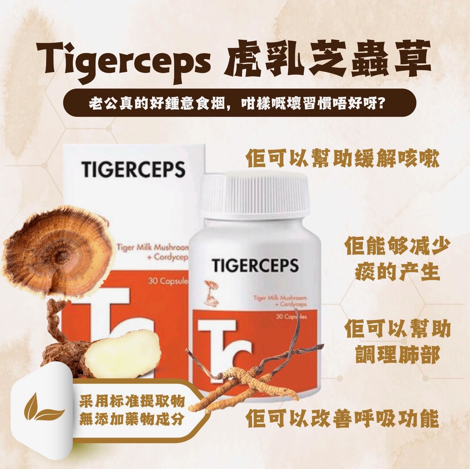🇲🇾 馬來西亞國寶 Tigerceps 虎乳芝蟲草 (TF162)