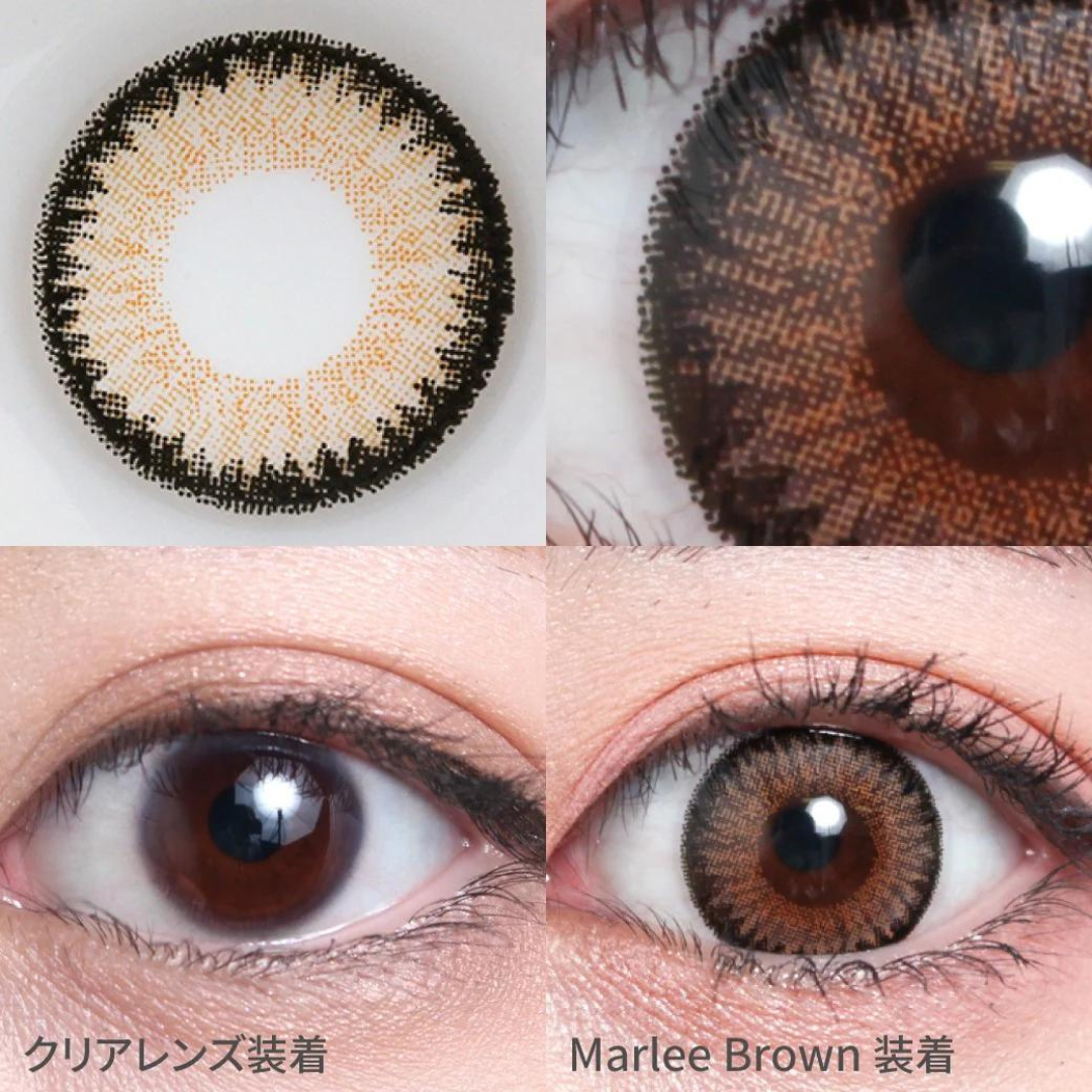 [月拋] TeAmo 1 Month Marlee Brown 每月拋棄型有色彩妝隱形眼鏡｜每盒2片