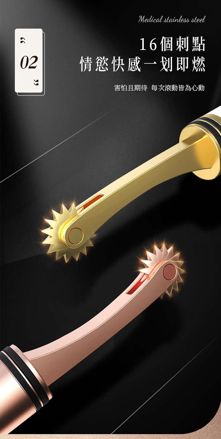 Roomfun 鋼筆刺輪-附收納套 Wartenberg BDSM調教道具