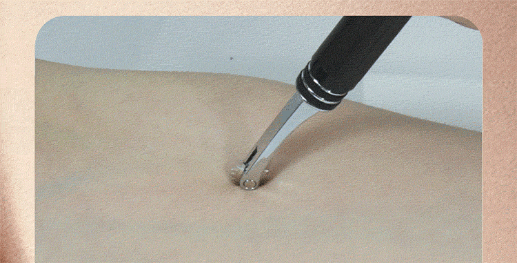 Roomfun 鋼筆刺輪-附收納套 Wartenberg BDSM調教道具