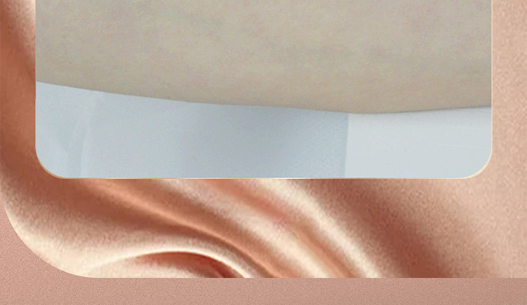 Roomfun 鋼筆刺輪-附收納套 Wartenberg BDSM調教道具