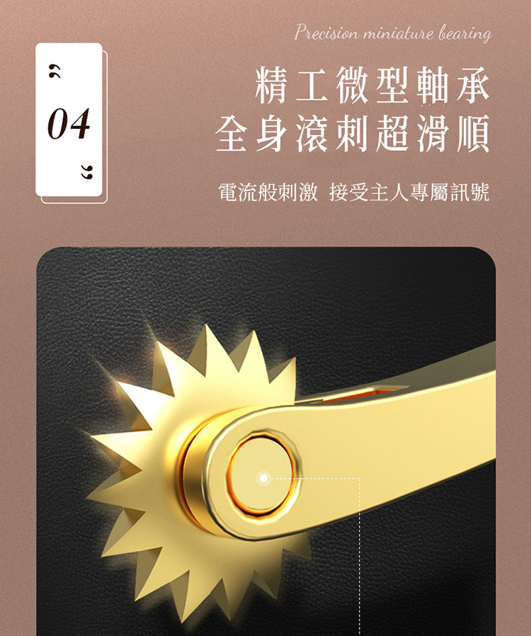 Roomfun 鋼筆刺輪-附收納套 Wartenberg BDSM調教道具