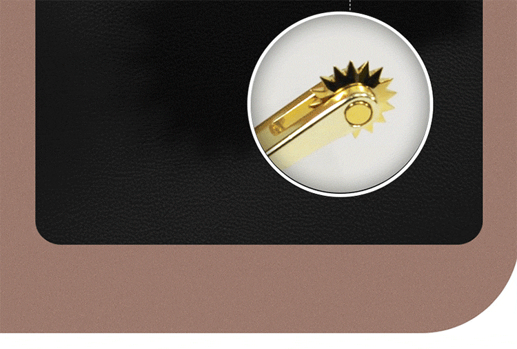 Roomfun 鋼筆刺輪-附收納套 Wartenberg BDSM調教道具