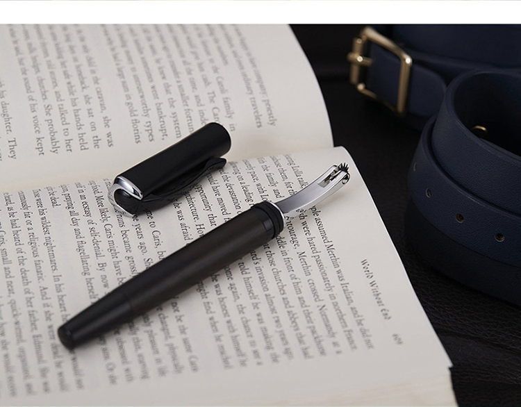 Roomfun 鋼筆刺輪-附收納套 Wartenberg BDSM調教道具