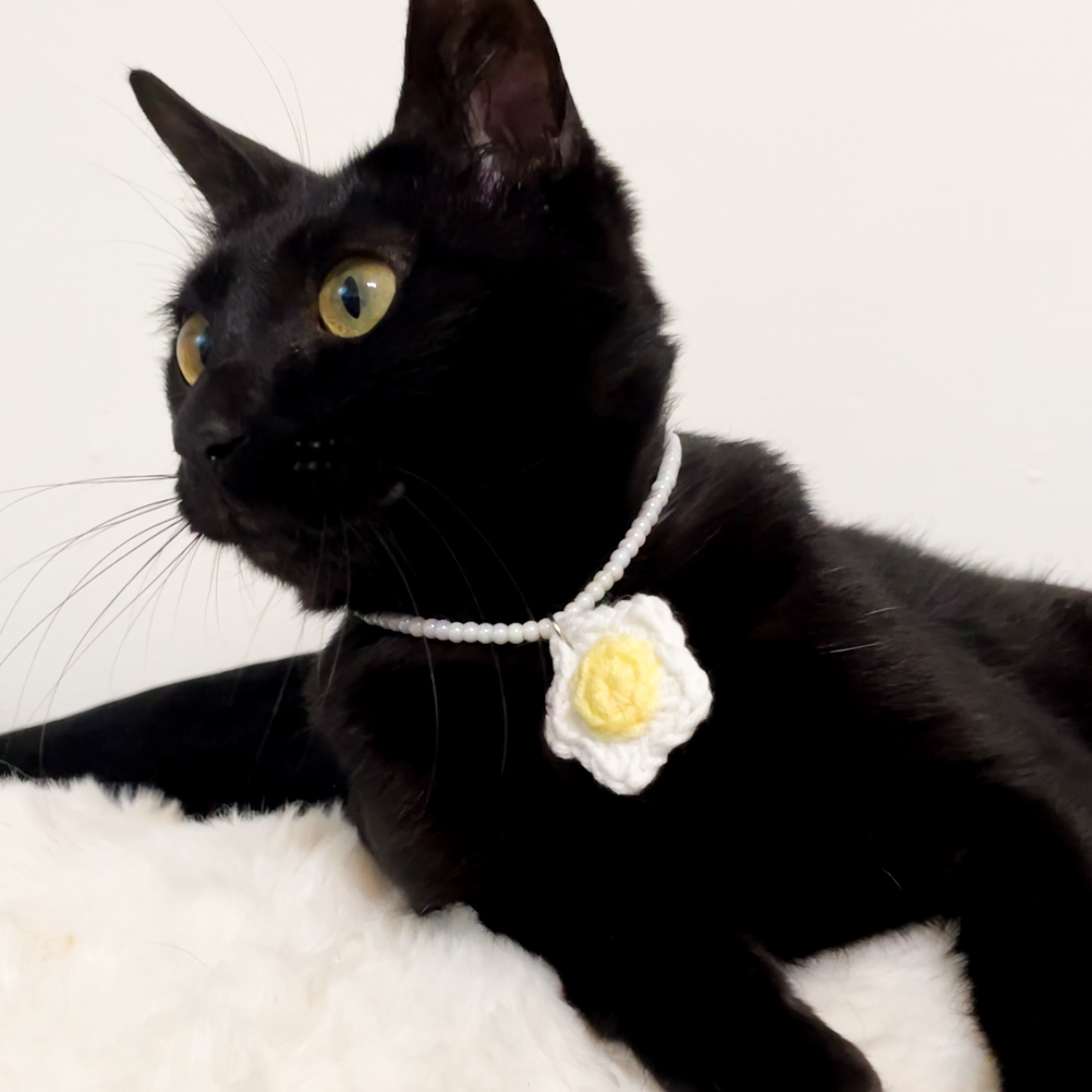 星星荷包蛋項鍊