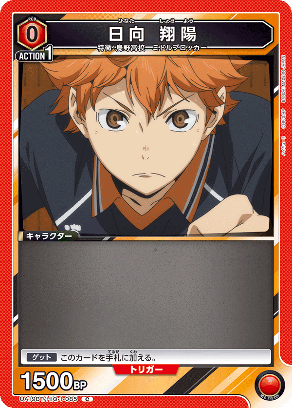 UA19BT/HIQ-1-085 日向 翔陽