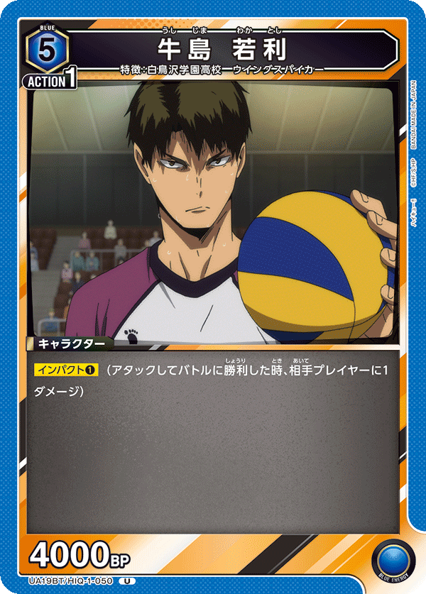 UA19BT/HIQ-1-050 牛島 若利