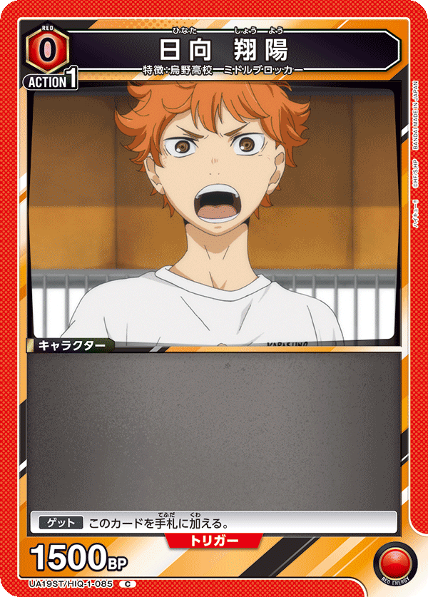 UA19ST/HIQ-1-085 日向 翔陽