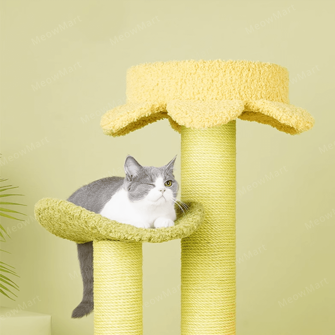 zeze 花瓣森林貓爬架