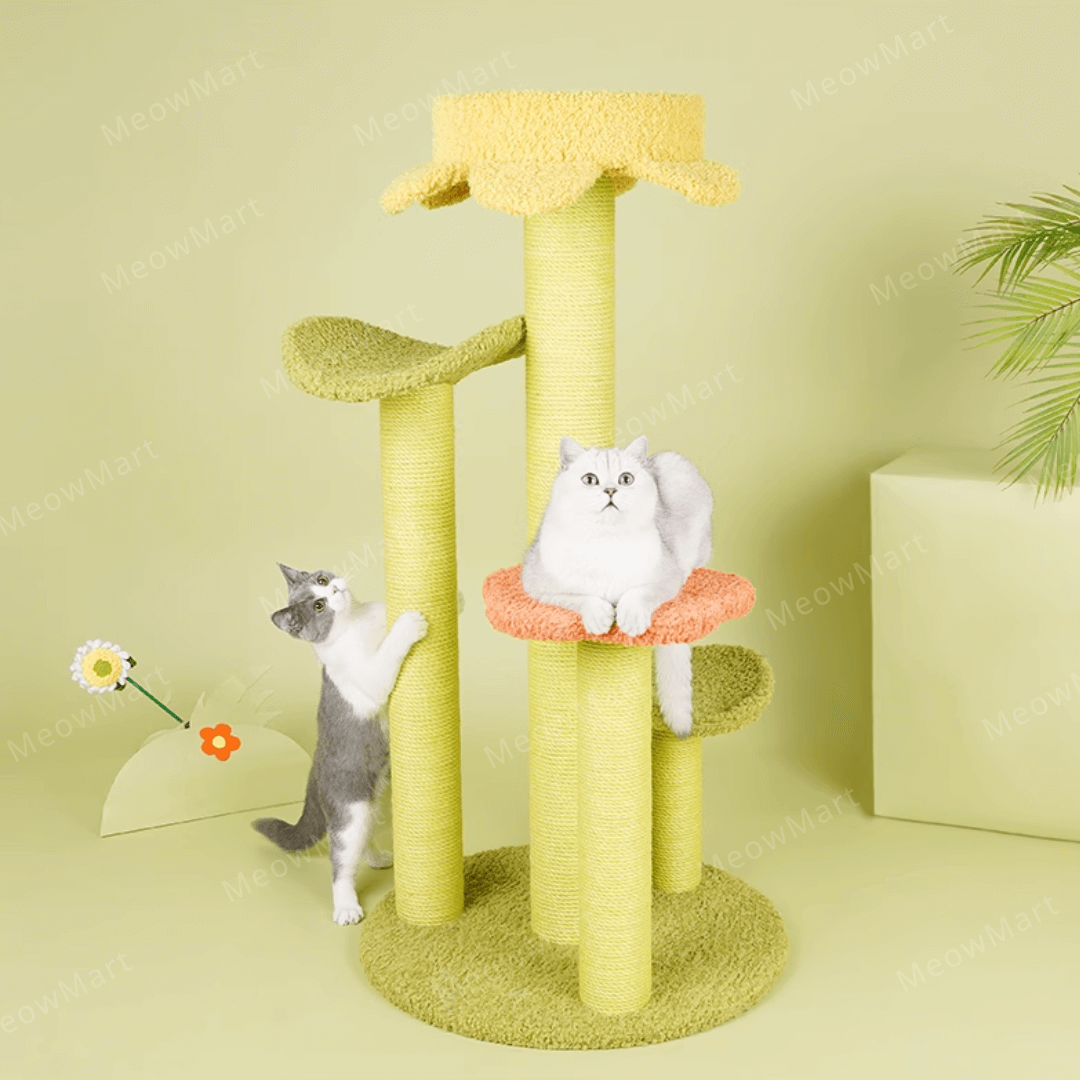 zeze 春日花瓣森林貓爬架