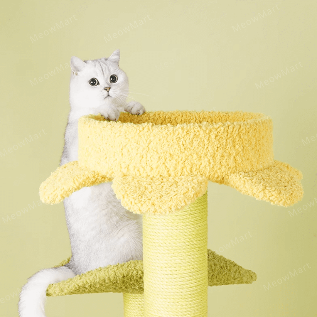 zeze 春日花瓣森林貓爬架