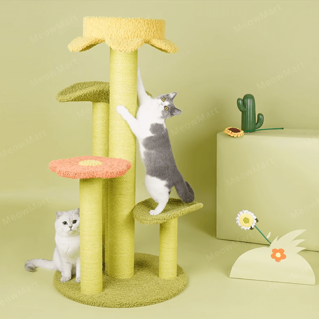 zeze 春日花瓣森林貓爬架