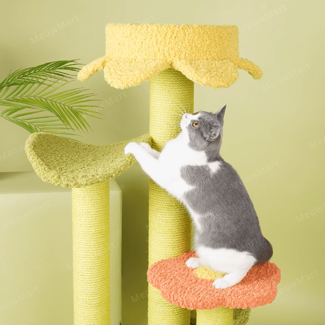 zeze 春日花瓣森林貓爬架