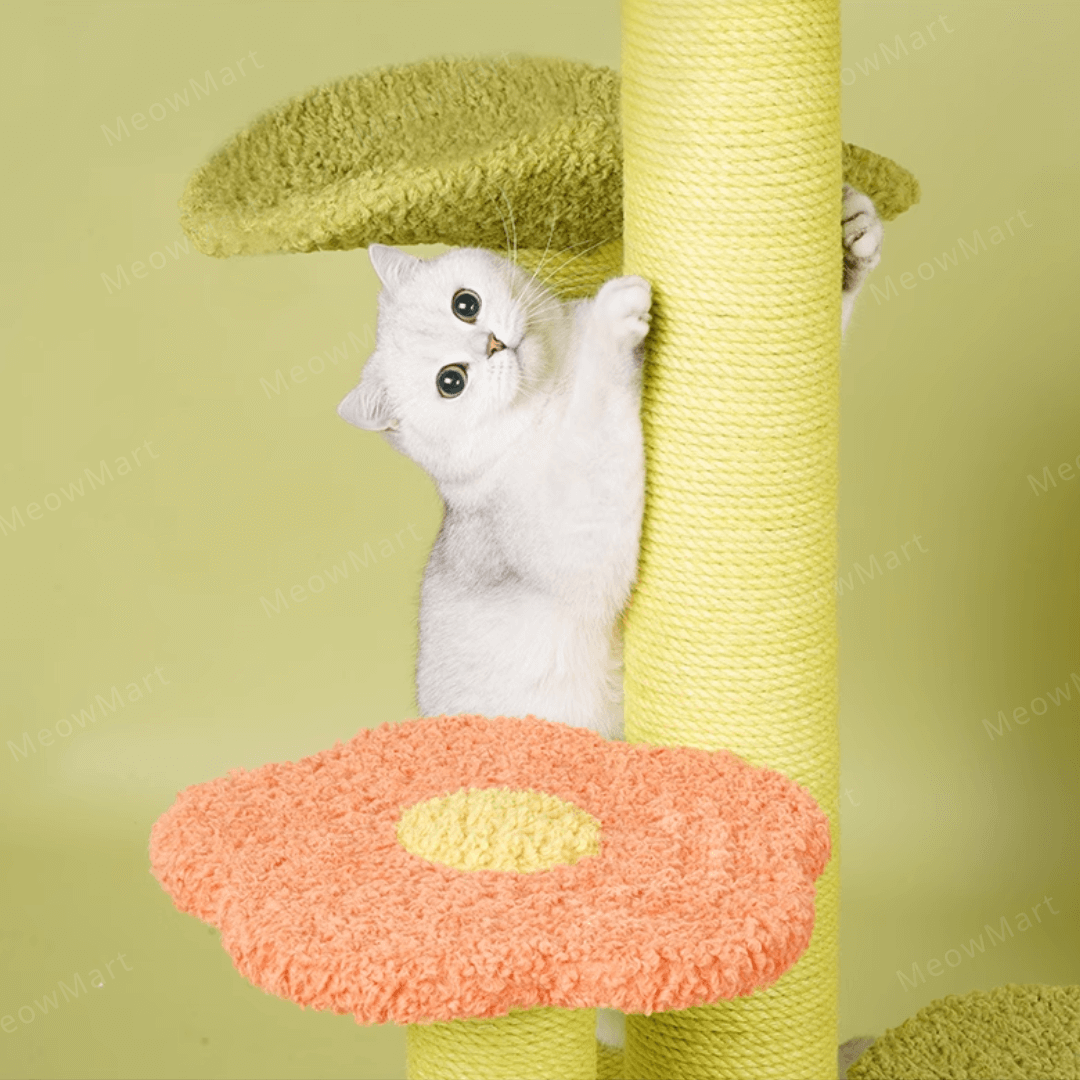 zeze 春日花瓣森林貓爬架