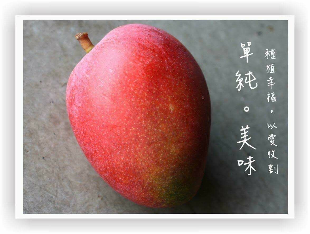 #台灣 #枋山 #愛文芒果 #高雄市 #老樹 #玉荷包 #荔枝 #馬來西亞 #榴槤 #猫山皇 #黑刺 #楊山 #水蜜桃 #進口 #生果 #水果 #黑珍珠 #鮮果 #母親節 #父親節 #端午節