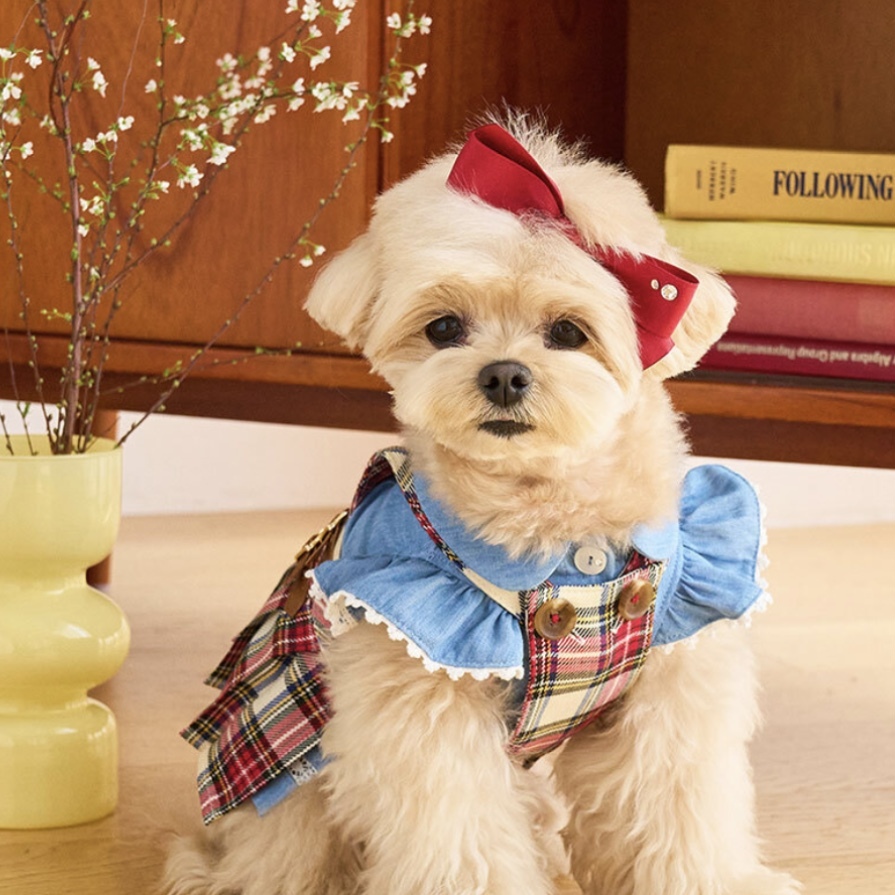 預科生 學院風-Briton格紋洋裝-Red紅格  It’s sunny outside