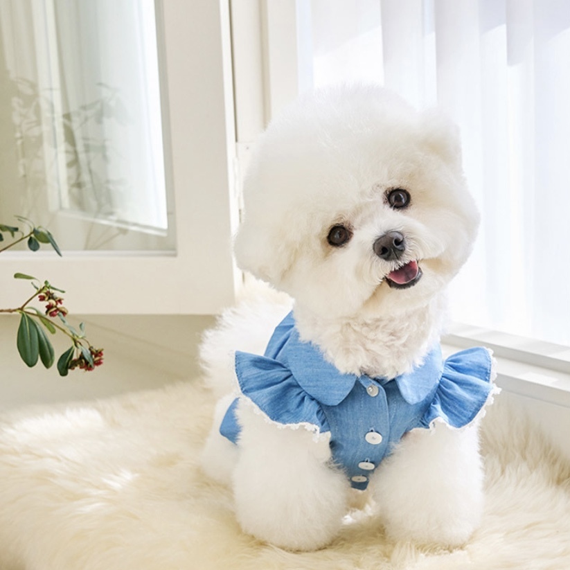 Angel 天使雪紡襯衫-牛仔丹寧-It’s sunny outside