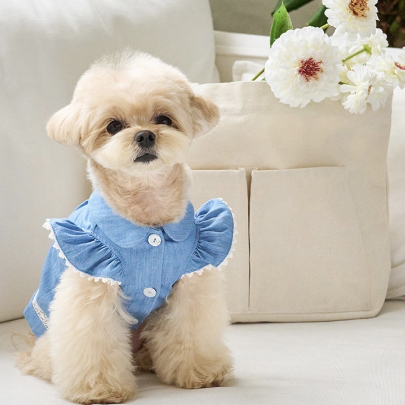 Angel 天使雪紡襯衫-牛仔丹寧-It’s sunny outside