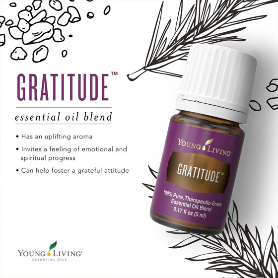 Young Living Gratitude 感恩複方精油