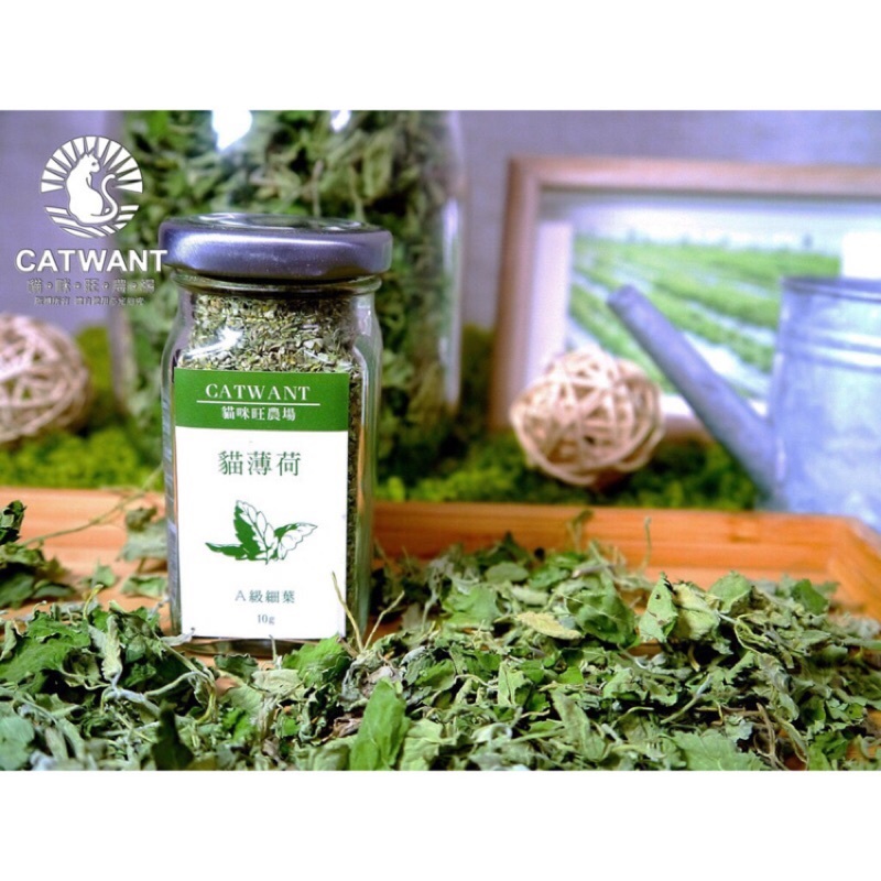 貓咪旺農場｜A級貓薄荷細葉 10g/40g