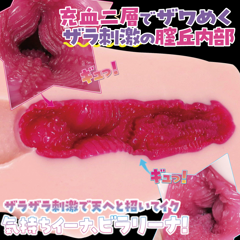 RIDE JAPAN,日本 RIDE JAPAN,RIDE JAPAN 自慰套,男用自慰套,男用飛機杯,飛機杯,二次元自慰套,二次元飛機杯,古比拉利娜男用自慰套,花瓣少女包覆穴,ロングビラリーナ