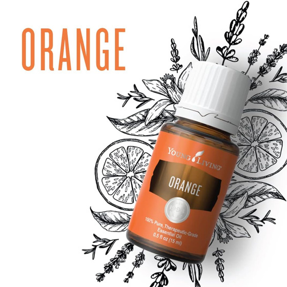 Young Living 甜橙 Orange 精油