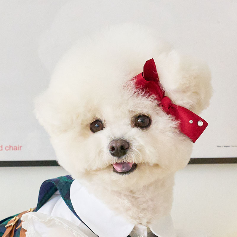 Preppy 學院風-配件 髮夾 髮飾 髮夾 -單紅帶鑽-It’s sunny outside