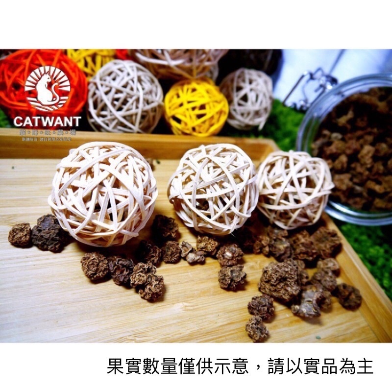 貓咪旺農場|蟲癭果鈴鐺藤球三入組