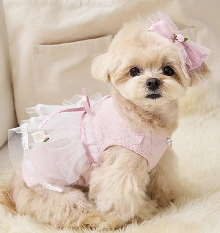 髮夾- Rose Tutu玫瑰芭蕾-粉紅印地安 髮夾 髮飾-It’s sunny outside