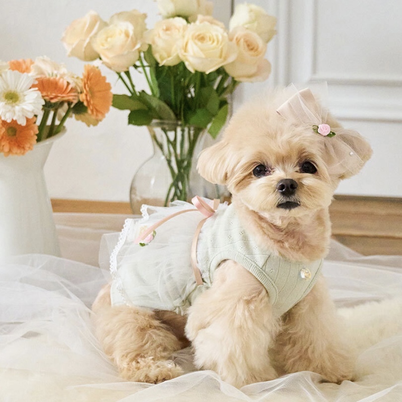 髮夾- Rose Tutu玫瑰芭蕾-薄荷 髮夾 髮飾-It’s sunny outside