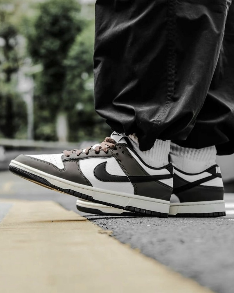 【Focus Store】預購 Nike Dunk Low Next Nature "Dark Mocha" 黑摩卡 HF4292-200