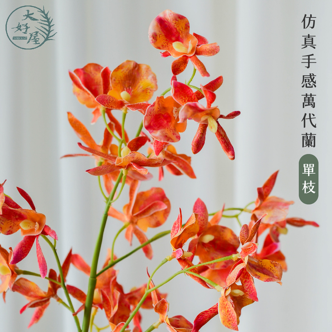 仿真手感萬代蘭 (蜘蛛蘭)