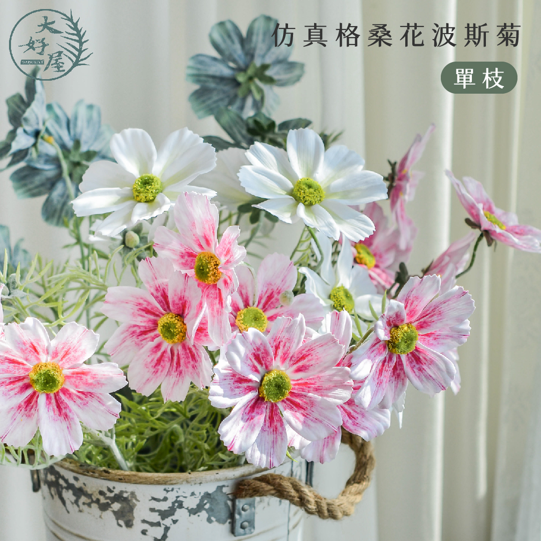 仿真波斯菊 (大花頭_格桑花)