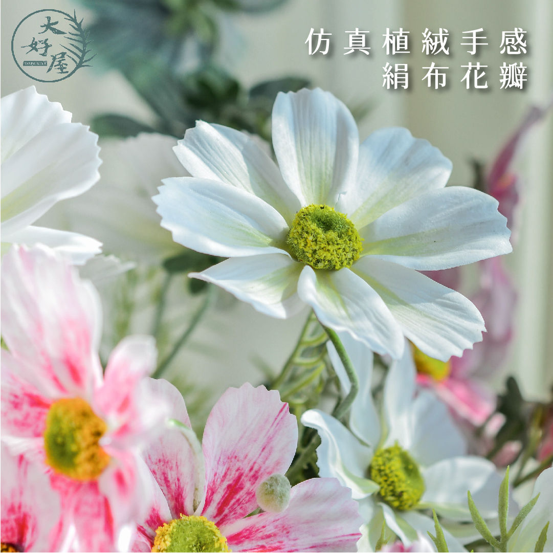 仿真波斯菊 (大花頭_格桑花)