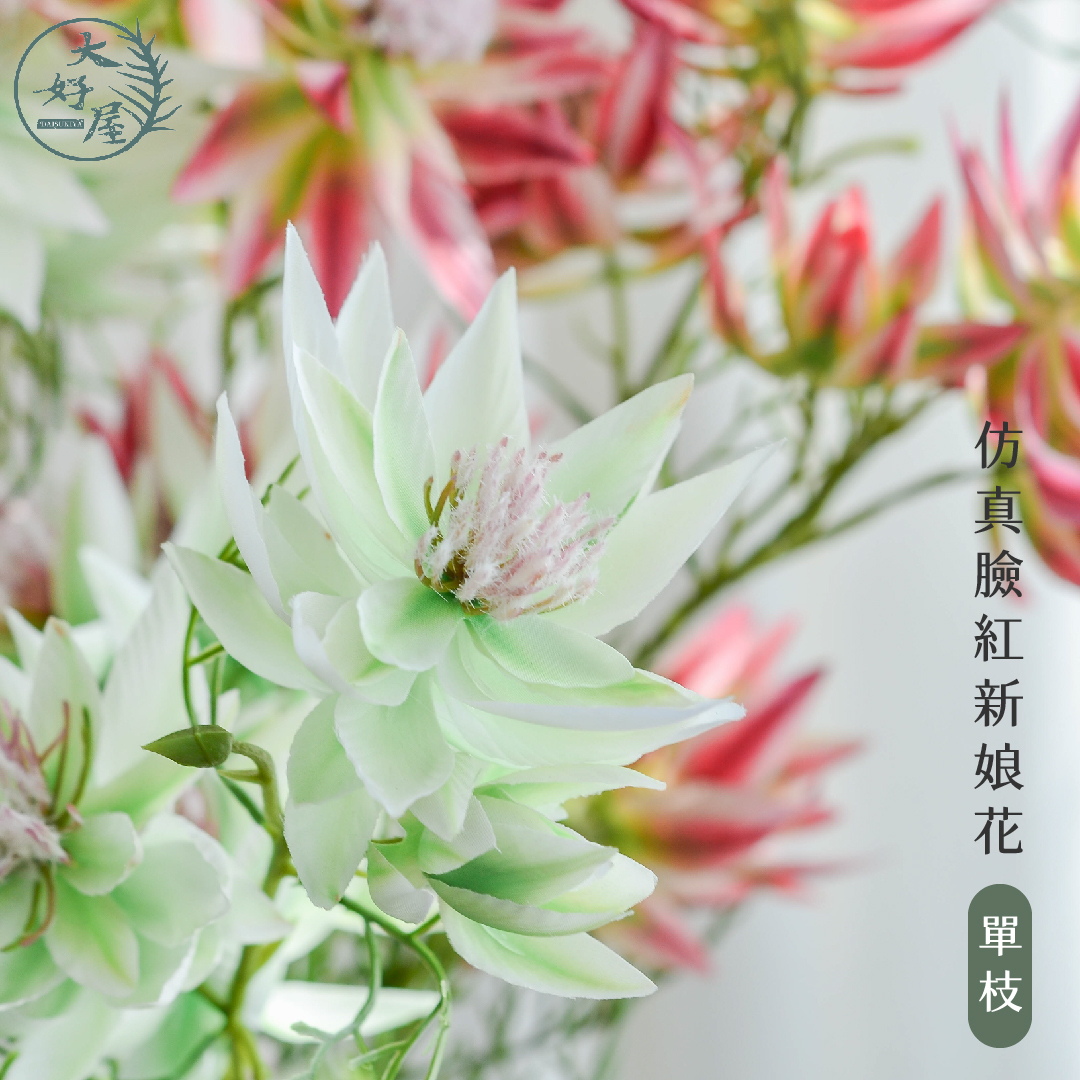 仿真臉紅新娘花