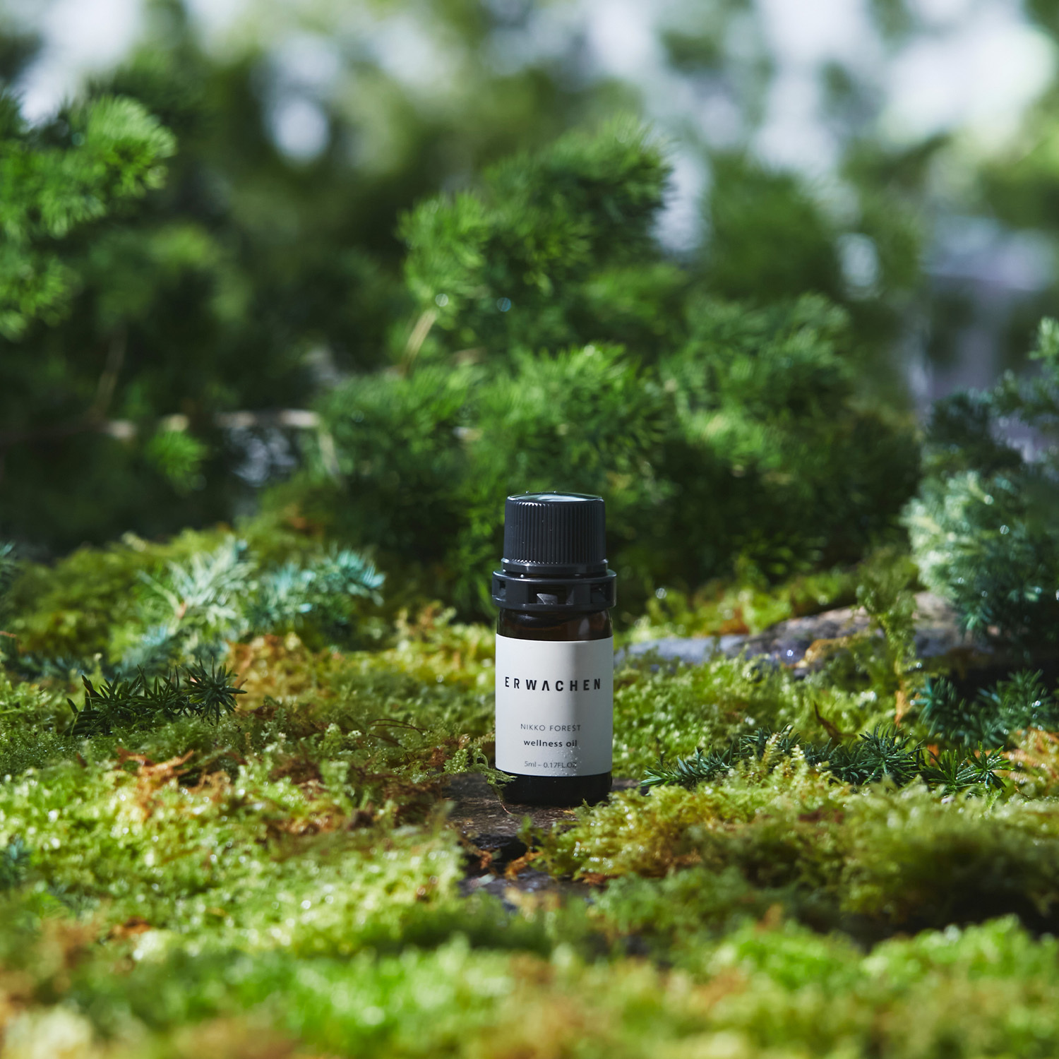 日光森林盛鹽禮盒