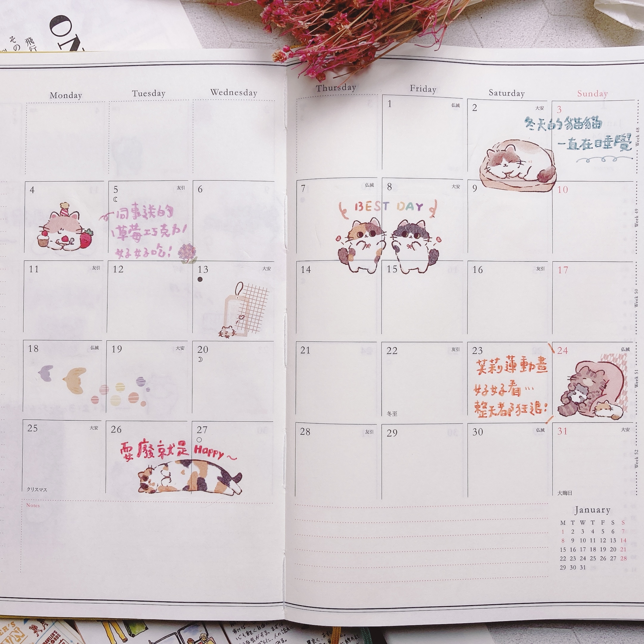 魚餅一隻熊｜慵懶貓貓 轉印貼紙